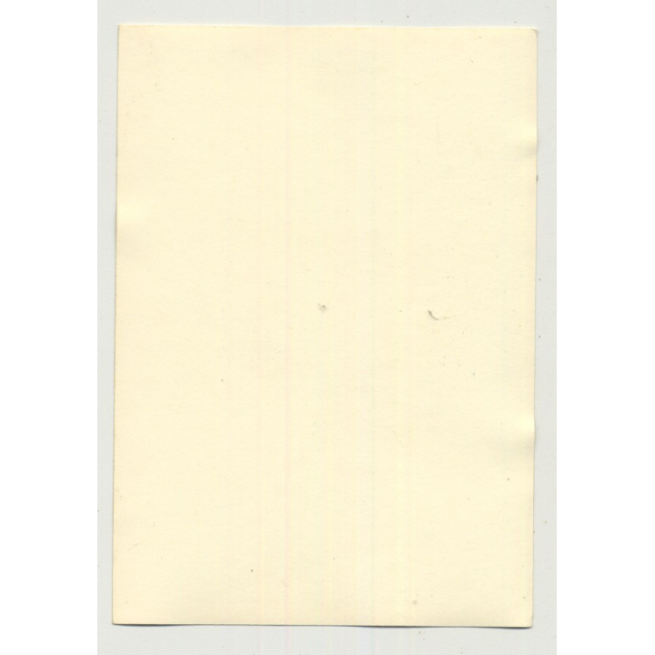 Darkhaired Beauty Opens Night Gown / Boobs - Suspenders (Vintage Photo B/W 50s)