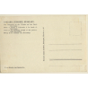 Hortobágy / Hungary: Herd Of Cattle At Scoop Well (Vintage RPPC)