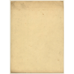 Great Take: Gründerzeit Backyard Impresson (Vintage Gelatin Silver Photo ~1890s/1900s)