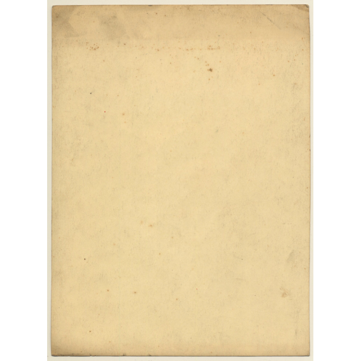 Great Take: Gründerzeit Backyard Impresson (Vintage Gelatin Silver Photo ~1890s/1900s)