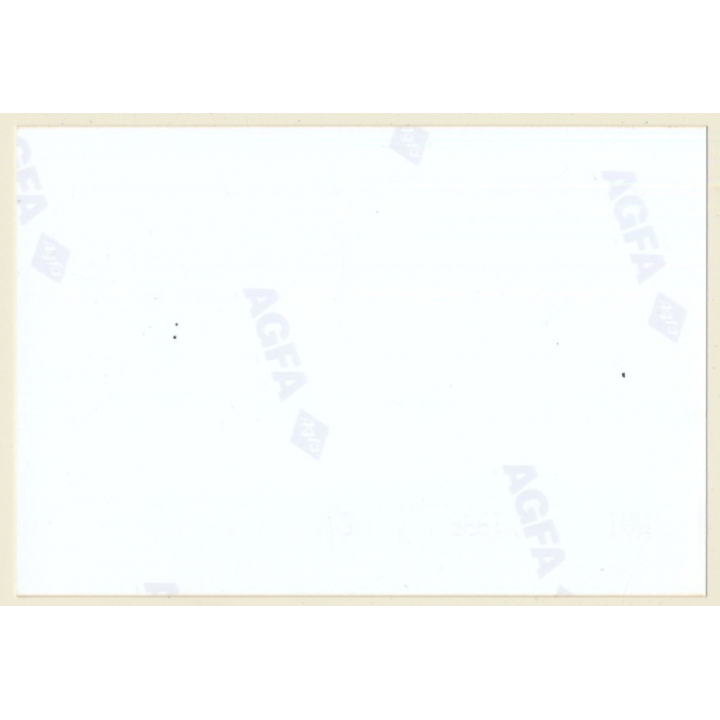 Slim Blonde Semi Nude Kneeling In Wineyard (Vintage Photo ~1990s)