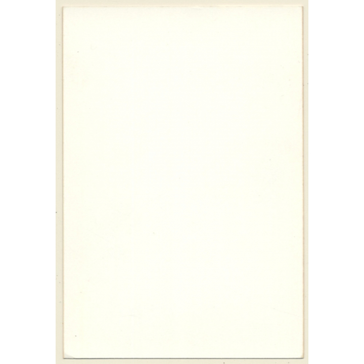 Brunette Nude Styles Nude Girlfriends' Hair (Vintage Photo ~1980s)