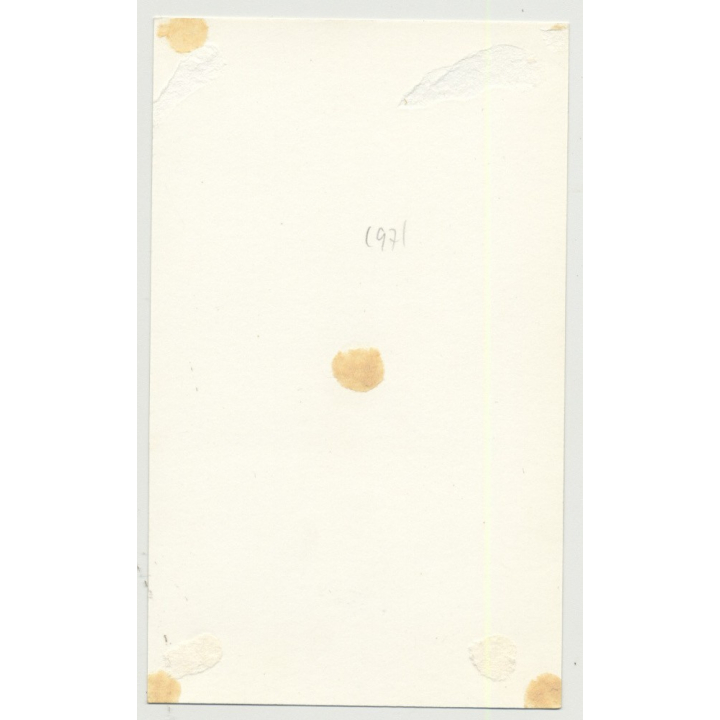 Funny Blonde Nude Puts On Stockings / Suspenders (Vintage Photo B/W ~ 1950s)