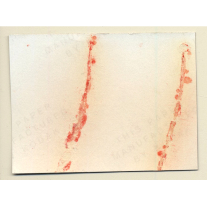 Natural Blonde Nude Relaxes On Wood Log*2 / Boobs (Vintage Contact Sheet Photo 1970s)