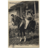 Djibouti: Guerrier Abyssin / Warrior On Horse (Vintage PC 1920s)