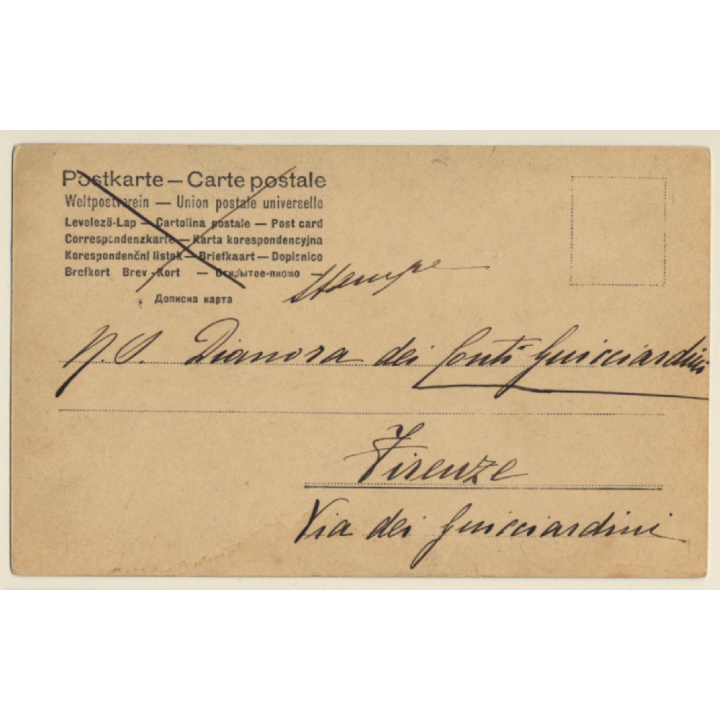 Portrait Of White Horse / Schimmel (Vintage RPPC 1905)