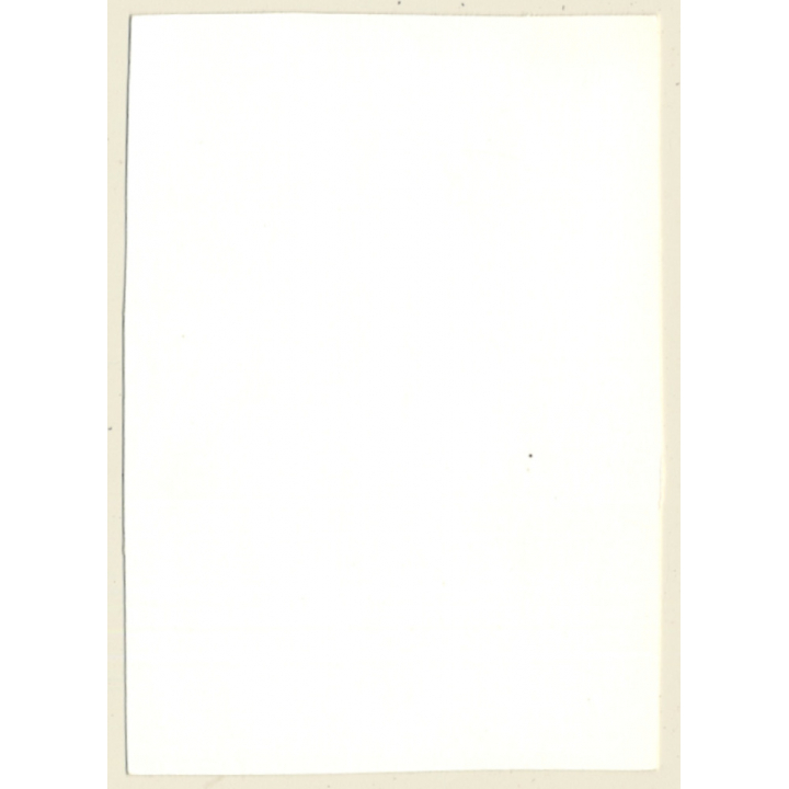 Funny Semi Nude Curlyhead Pulls Down Pants (Vintage Photo GDR ~ 1980s)