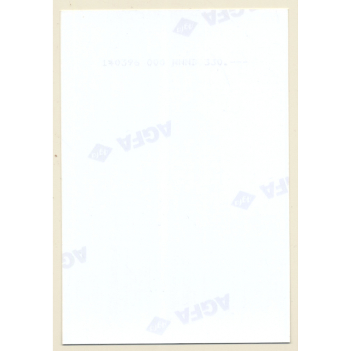 Elegant Nude Brunette / Gloves - Silk Scarf - Suspenders (Vintage Photo ~1990s)