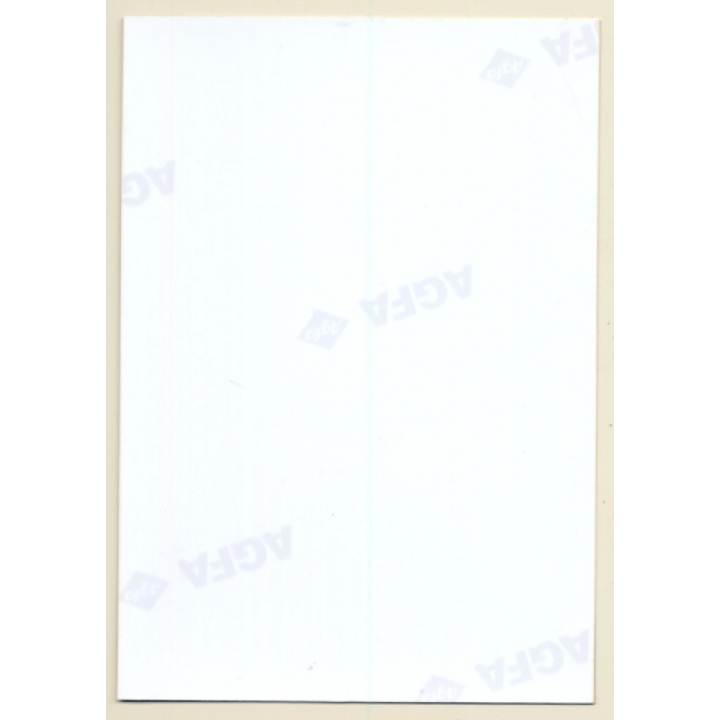 Natural Darkhaired Female Flashing Boobs Outdoors (Vintage Photo ~1990s)