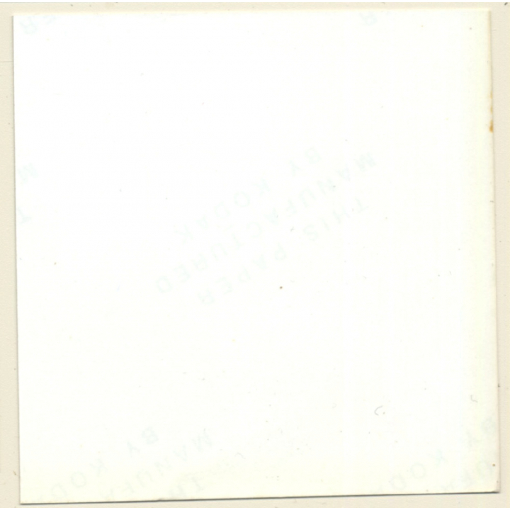 Beautiful Semi Nude With Fancy Top*3 / Standing (Vintage Contact Sheet Photo 1970s)