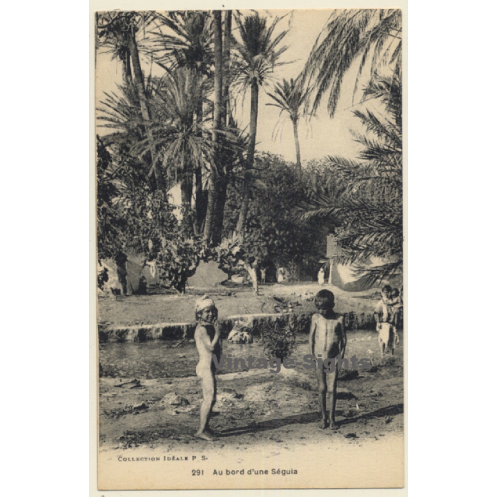 Maghreb: Au Bord D'Une Séguia / Native Kids - Ethnic (Vintage PC ~1910s/1920s)