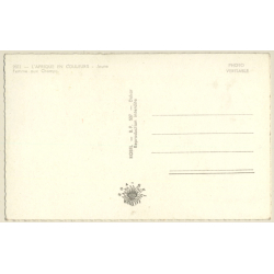 L'Afrique En Couleurs: Jeune Aux Champs / Risqué - Ethnic (Vintage RPPC ~1950s)