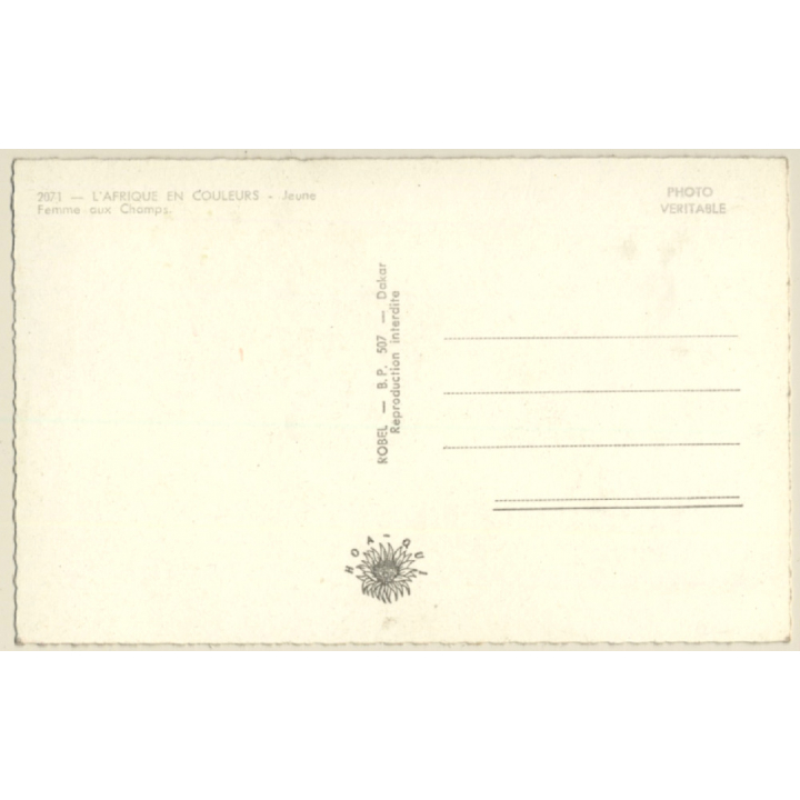 L'Afrique En Couleurs: Jeune Aux Champs / Risqué - Ethnic (Vintage RPPC ~1950s)