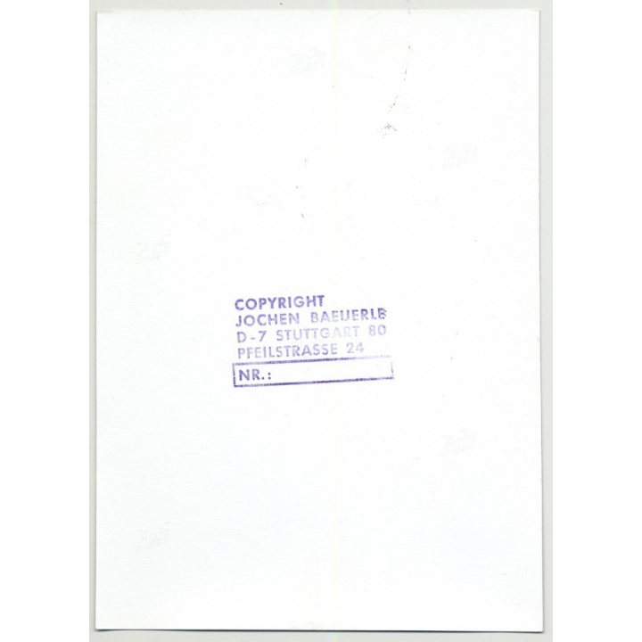 Ike & Tina Turner On Stage / Leopard Dress (Vintage Stage Photo B/W ~1970s)