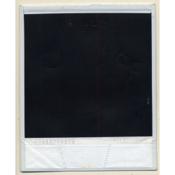 Sylt: Fisch Gosh - FKK Brötchen (Vintage Polaroid SX-70 1980s)
