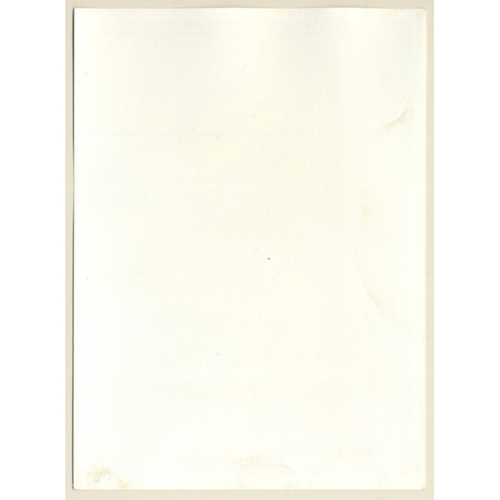 Erotic Study: Slim Brunette Female*2 / Tank Top - Panties - Abs (Vintage Photo France B/W ~1980s)