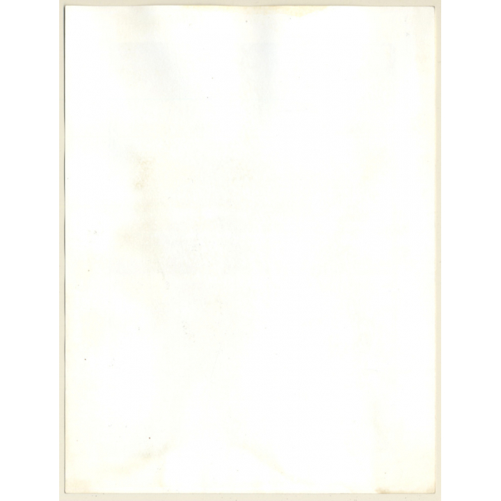 Erotic Study: Natural Shorthaired Nude Laying On Bed (Vintage Photo France B/W ~1980s)