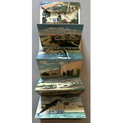 Florida: Amazing Marineland (Vintage Leporello PC 1946)