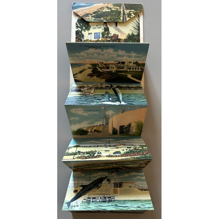 Florida: Amazing Marineland (Vintage Leporello PC 1946)
