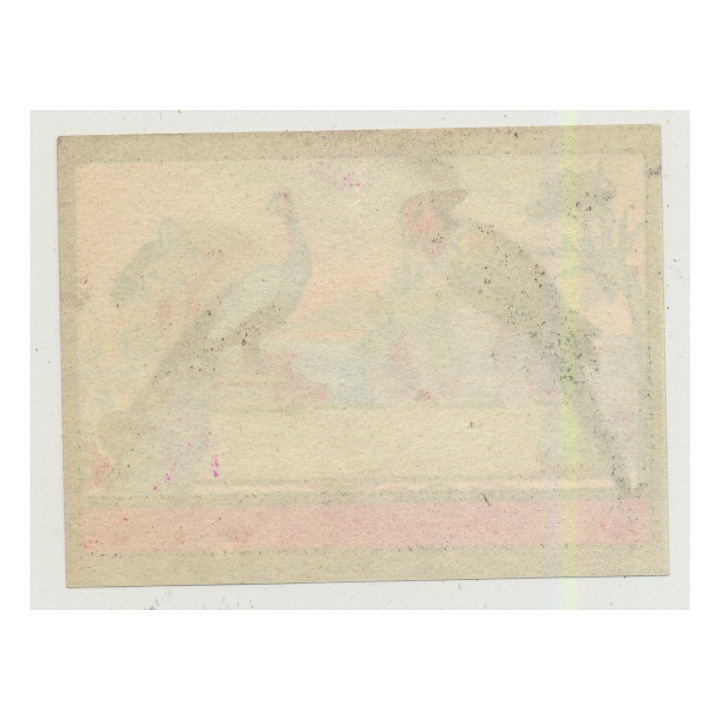 Parrot & Peacock (Vintage Chromo Litho Label ~1910/1920s)