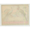 Parrot & Peacock (Vintage Chromo Litho Label ~1910/1920s)