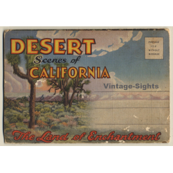 USA: Desert Scenes Of California (Vintage Leporello PC ~1940s)