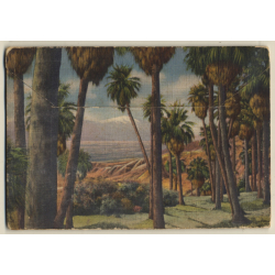 USA: Desert Scenes Of California (Vintage Leporello PC ~1940s)