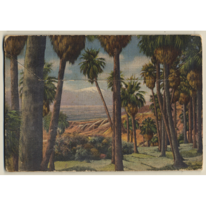 USA: Desert Scenes Of California (Vintage Leporello PC ~1940s)