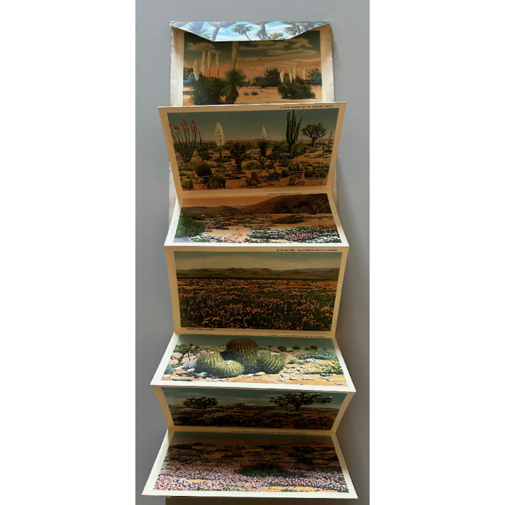 USA: Desert Scenes Of California (Vintage Leporello PC ~1940s)