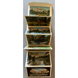 USA: Scenic Gems Of Yosemite National Park (Vintage Leporello PC ~1940s)