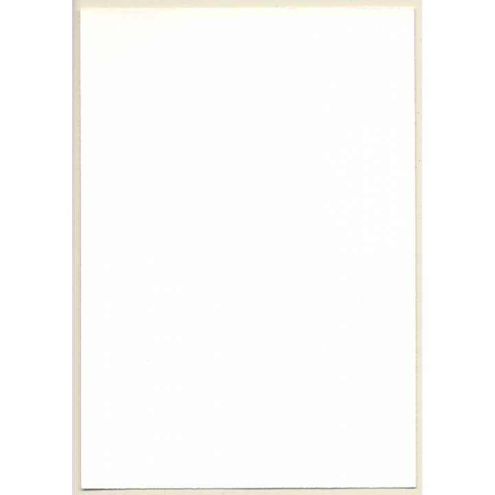 Chubby Semi Nude In Striped Panties & Fur Coat / Wallpaper (Vintage Photo GDR ~ 1980s)