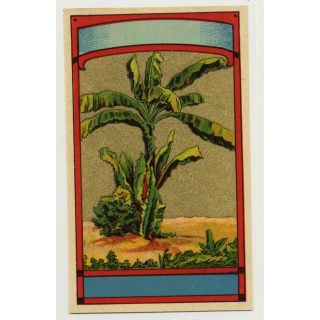 Palm Tree (Vintage Chromo Litho Label ~1910/1920s)