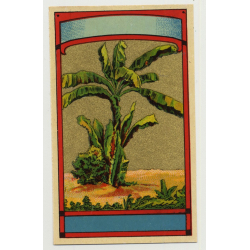 Palm Tree (Vintage Chromo Litho Label ~1910/1920s)
