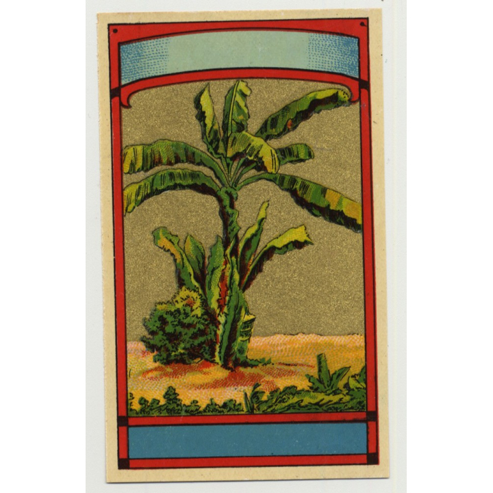 Palm Tree (Vintage Chromo Litho Label ~1910/1920s)