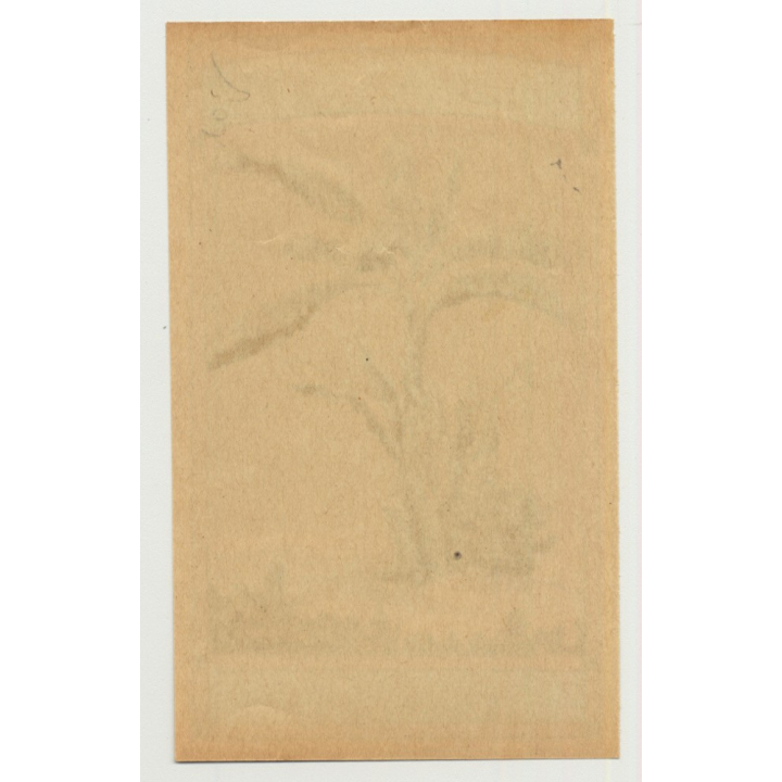 Palm Tree (Vintage Chromo Litho Label ~1910/1920s)