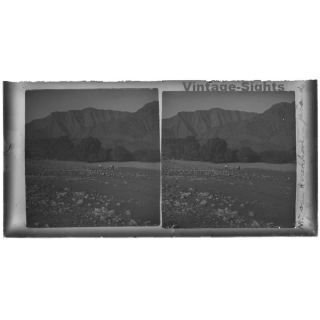 Cinti / Bolivia: Belgian Consul Van Kerckhove Wading Rio Grande (Vintage Stereo Glass Plate 1921)