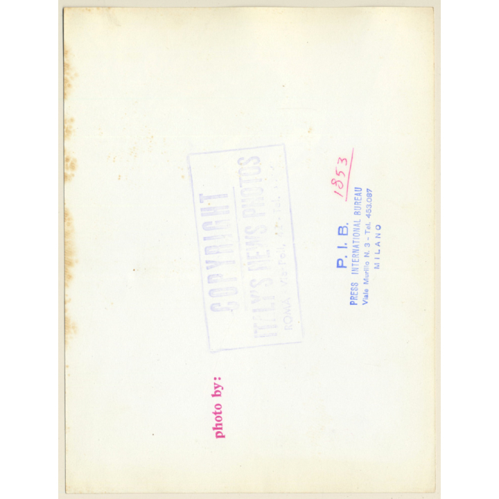 Great Take: Ingrid Bergman On Meadow (Vintage Press Photo 1953)