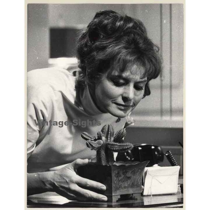 Hollywood: Ingrid Bergman In 'Cactus Flower' (Vintage Press Photo 1969)