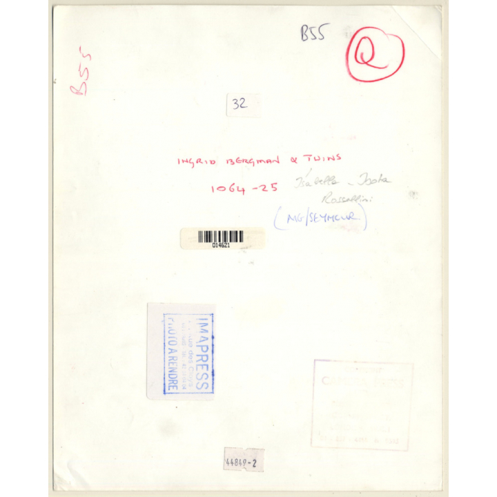 Ingrid Bergman Carrying Her Twins Isotta & Isabella (Vintage Press Photo 1952)