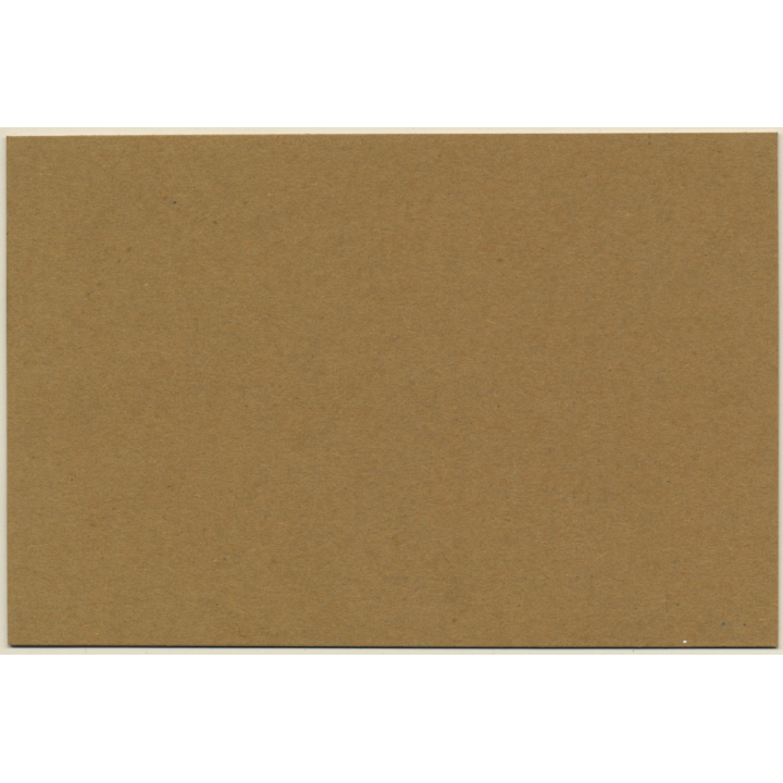 Jerri Bram (1942): Nude Pregnant Female In Bed Of Flowers (Vintage Photo ~1970s)