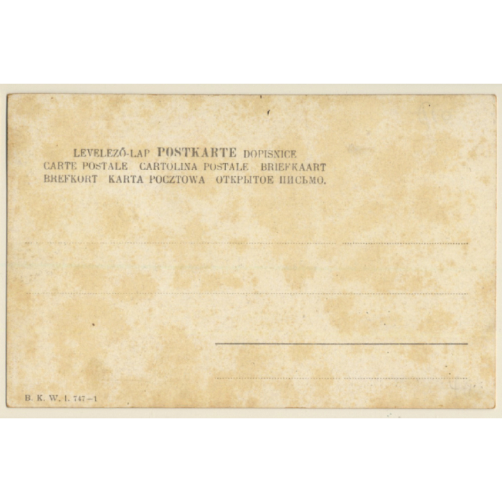 Ausfahrt Sr. Majestät Des Kaisers Franz Josef I. (Vintage PC 1900s)