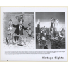 Walt Disney: Aristocats / Movie Still (Vintage Photo 1970)