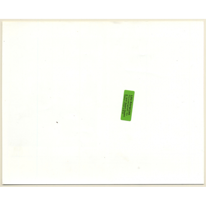 Walt Disney: Aristocats / Movie Still (Vintage Photo 1970)