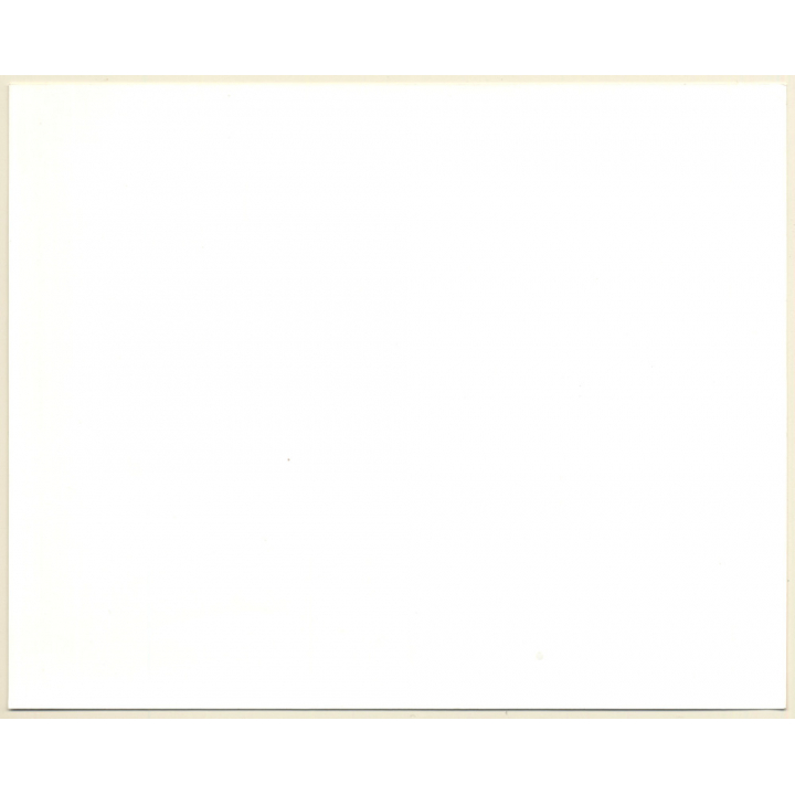 Kevin Costner: Dances With The Wolves / Movie Still (Vintage Photo 1990)