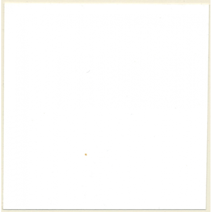 Stunning Shorthaired Nude On Sea Shore / Tan Lines (Vintage Contact Sheet Photo 1980s)