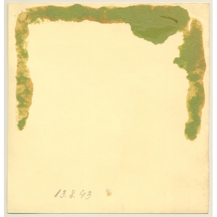 2 Pretty Girl Sisters With Teddy Bear (Vintage Photo Germany 1943)