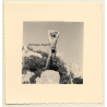 Natural Blonde Nude On Beach Rocks (Vintage Photo ~1940s/1950s)
