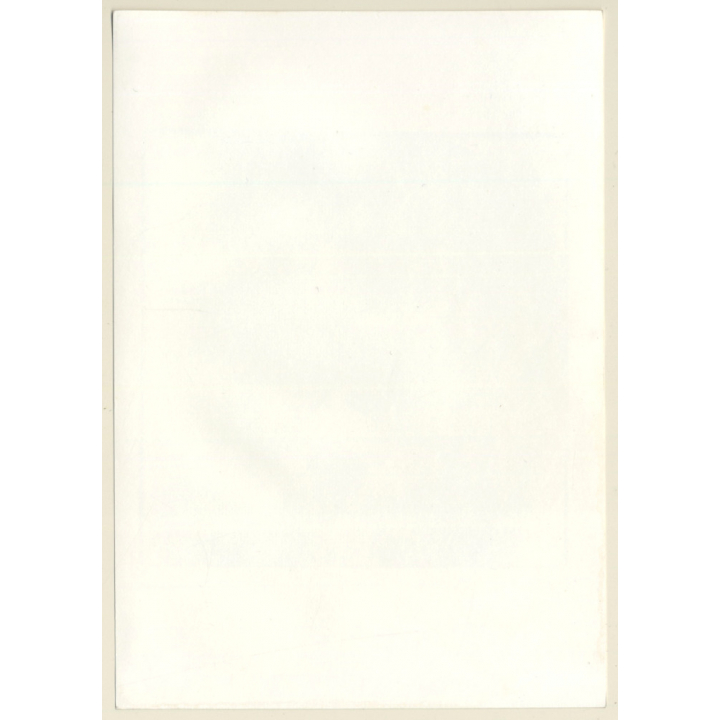 Artistic Erotic Study: Female Curlyhead With Freckles*4 / Bra (Vintage Photo France B/W ~1980s)