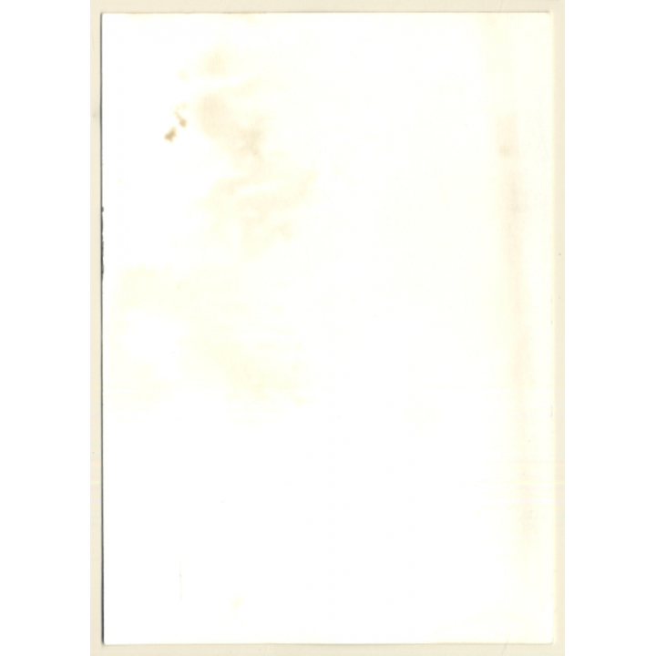 Natural Semi Nude Flashing Boob / Bra (Vintage Photo GDR ~ 1980s)