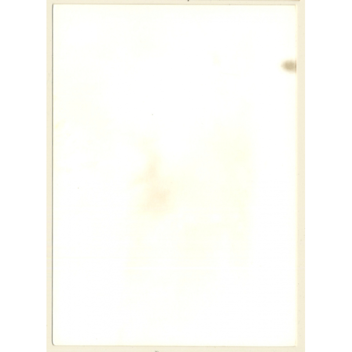 Slim Semi Nude Standing / Black Panties (Vintage Photo GDR ~ 1980s)